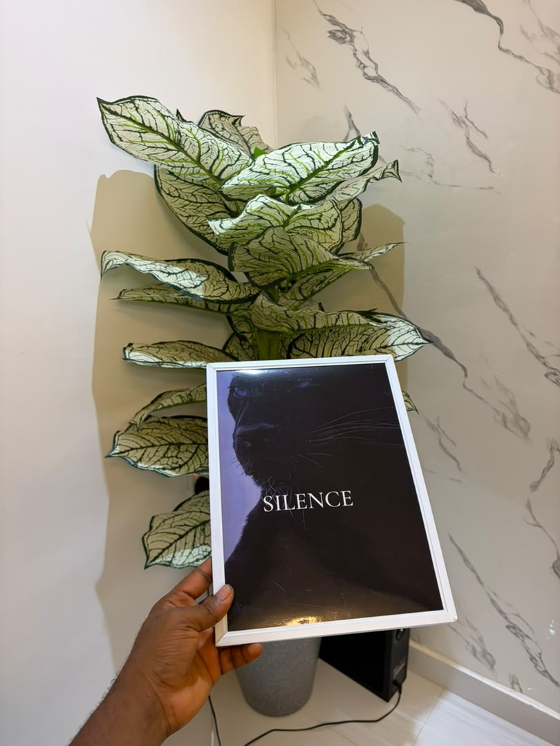 Silence Framed Print